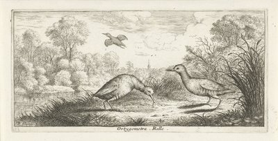 Landschaft mit zwei Rallen am Ufer von Albert Flamen