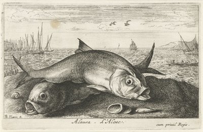 Zwei Maifische am Strand von Albert Flamen
