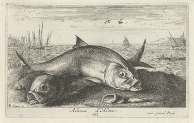 Zwei Maifische am Strand von Albert Flamen
