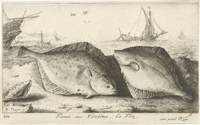 Zwei Schollen am Strand von Albert Flamen