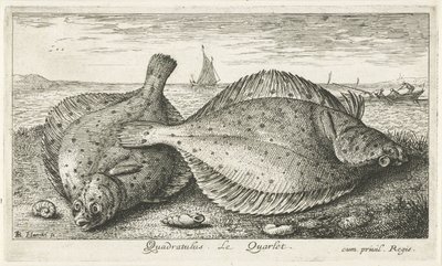 Zwei Schollen am Strand von Albert Flamen