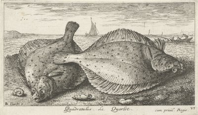 Zwei Schollen am Strand von Albert Flamen