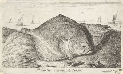 Zwei Steinbutte am Strand von Albert Flamen