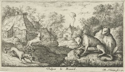 Füchse von Albert Flamen