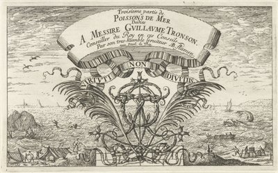 Meeresansicht durch ornamentales Wappen (Serie: Fische und andere Meerestiere - Salzwasser dritte Reihe, Poissons de mer) von Albert Flamen