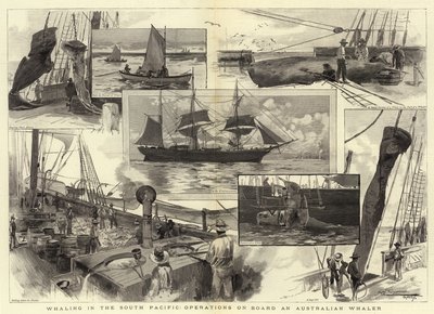 Walfang im Südpazifik, Operationen an Bord eines australischen Walfängers von Albert Henry Fullwood