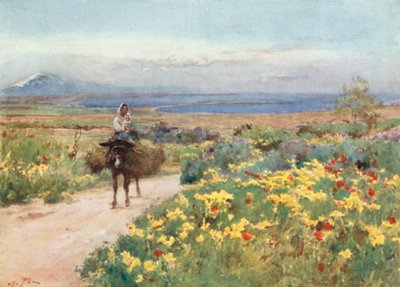 Frühling in Syrakus. Blick auf den Ätna und Thapsos vom Standort Tyche von Alberto Pisa
