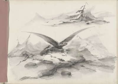 Adler fliegend über eine Küste mit Bergen von Albertus van Beest