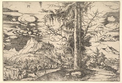 Landschaft mit einer doppelten Fichte von Albrecht Altdorfer
