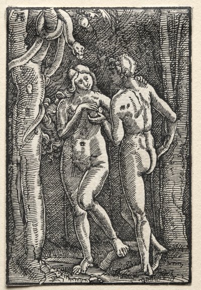 Der Fall und die Erlösung des Menschen: Adam und Eva essen die verbotene Frucht von Albrecht Altdorfer