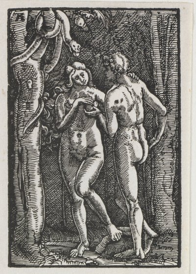 Der Fall und die Erlösung des Menschen: Adam und Eva essen die verbotene Frucht von Albrecht Altdorfer