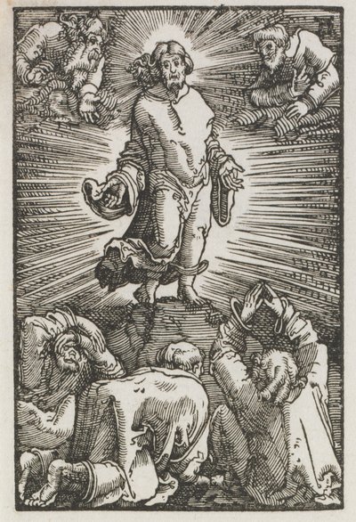 Der Fall und die Erlösung des Menschen: Die Verklärung von Albrecht Altdorfer