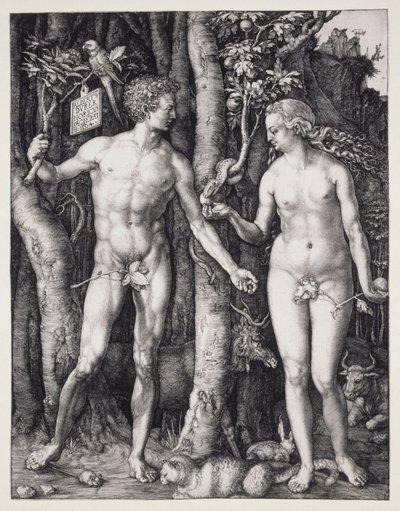 Adam und Eva von Albrecht Dürer