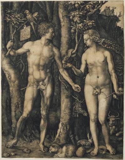 Adam und Eva von Albrecht Dürer
