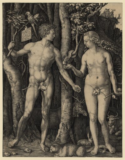 Adam und Eva von Albrecht Dürer