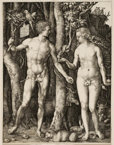 Adam und Eva von Albrecht Dürer