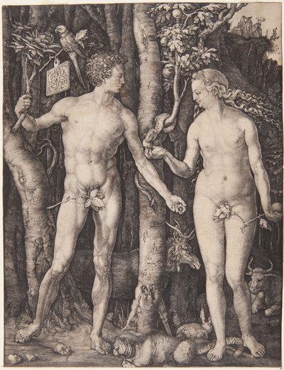 Adam und Eva von Albrecht Dürer