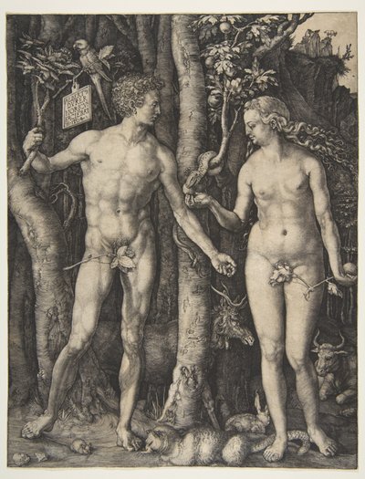 Adam und Eva von Albrecht Dürer