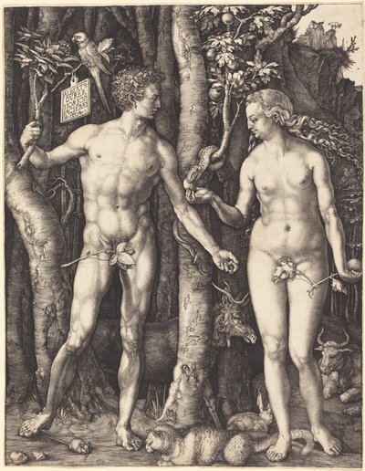  von Albrecht Dürer