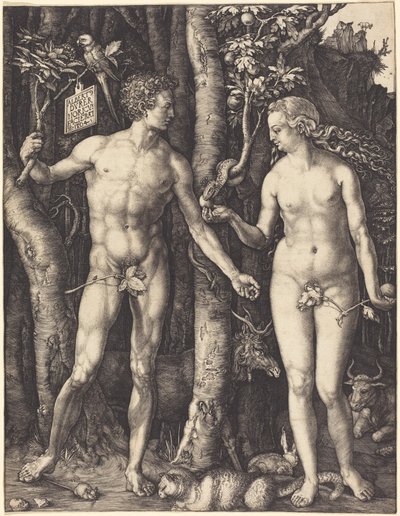  von Albrecht Dürer