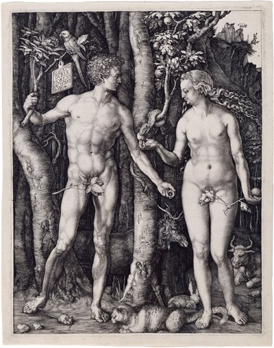  von Albrecht Dürer