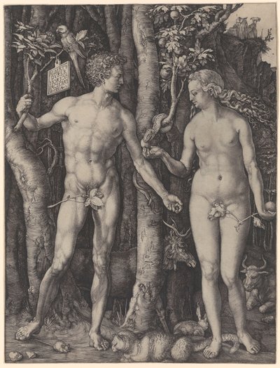 Adam und Eva von Albrecht Dürer