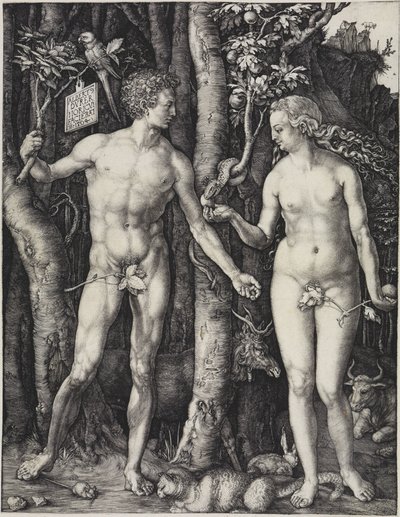  von Albrecht Dürer