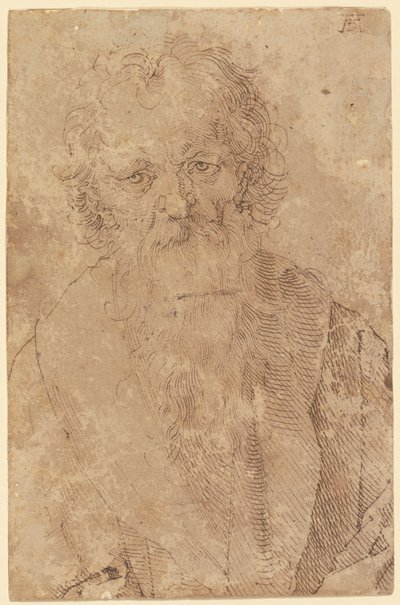  von Albrecht Dürer