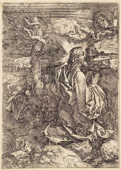  von Albrecht Dürer