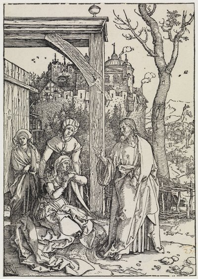  von Albrecht Dürer