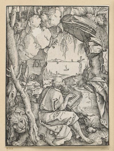  von Albrecht Dürer