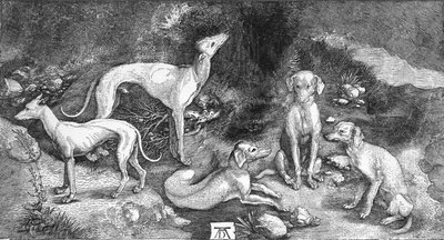 Gruppe von Hunden. Aus dem Stich von St. Eustace, von A. Dürer, um 1500, 1906 von Albrecht Dürer