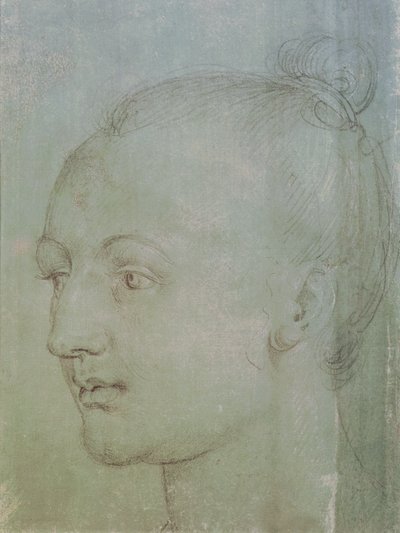 Kopf einer jungen Frau von Albrecht Dürer