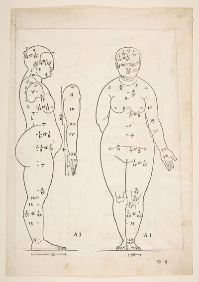 Illustration aus Dürers Vier Bücher von menschlicher Proportion, Nürnberg, 1528 von Albrecht Dürer