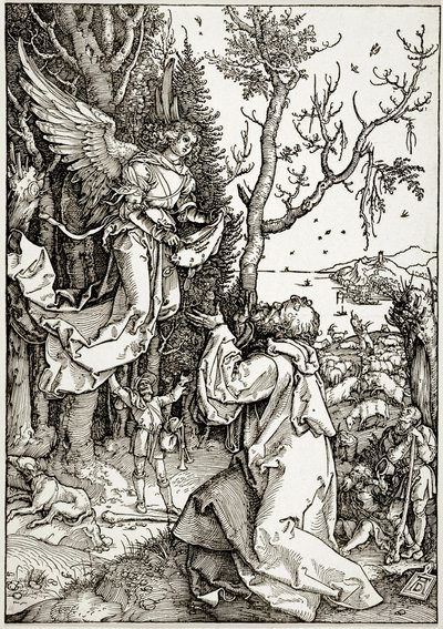  von Albrecht Dürer