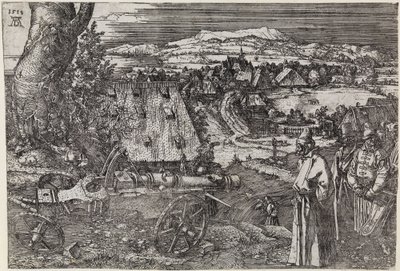 Landschaft mit Kanone von Albrecht Dürer