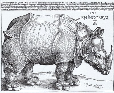 Das Nashorn von Albrecht Dürer
