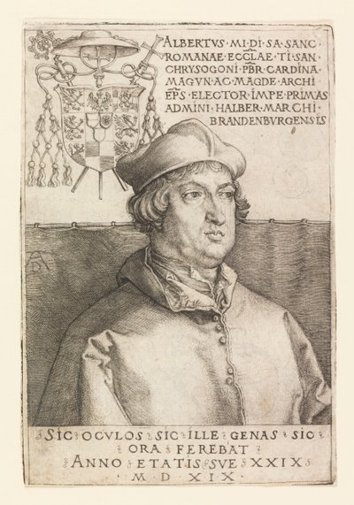 Porträt von Albrecht von Brandenburg von Albrecht Dürer