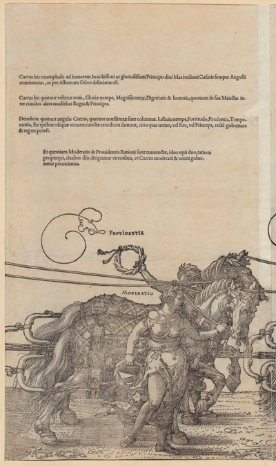  von Albrecht Dürer