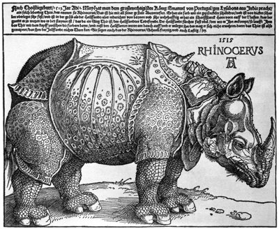 Nashorn, Druck an Maximilian I. vom König von Lissabon, 1515, 1936 von Albrecht Dürer