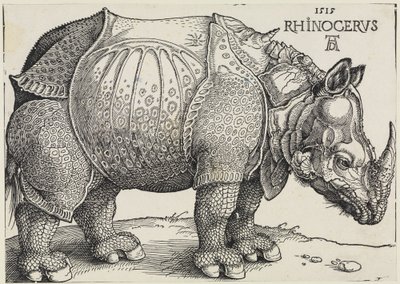 Rhinocerus (Das Rhinozeros) von Albrecht Dürer