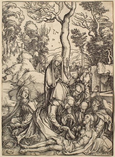  von Albrecht Dürer