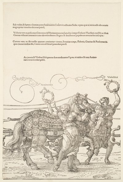  von Albrecht Dürer