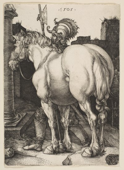  von Albrecht Dürer