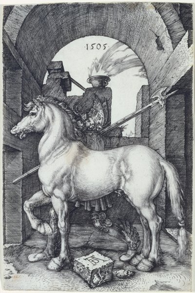 Das kleine Pferd von Albrecht Dürer
