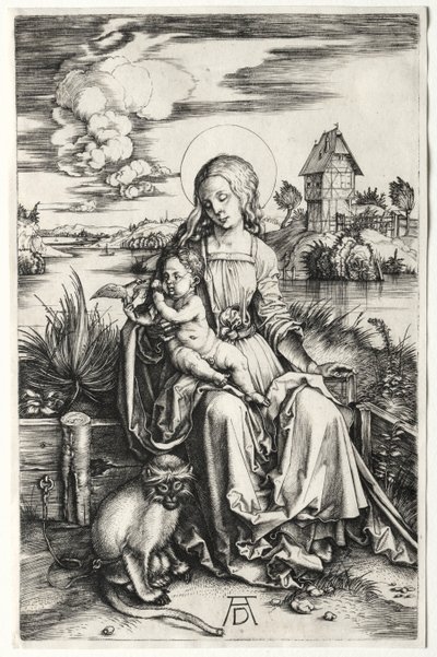 Die Jungfrau und das Kind mit einem Affen, um 1498 von Albrecht Dürer