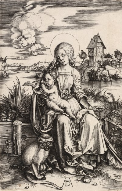 Die Jungfrau und das Kind mit dem Affen von Albrecht Dürer