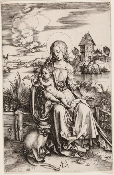 Jungfrau und Kind mit dem Affen von Albrecht Dürer