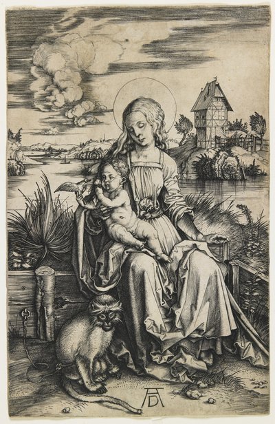 Jungfrau und Kind mit dem Affen, ca. 1498 von Albrecht Dürer