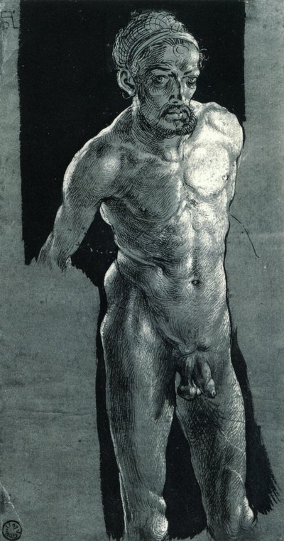 Selbstporträt im Akt von Albrecht Dürer